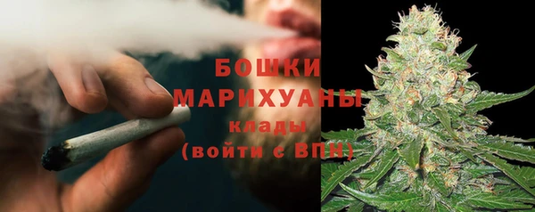 ПСИЛОЦИБИНОВЫЕ ГРИБЫ Белоозёрский