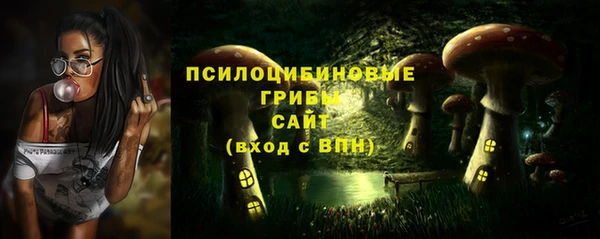 MDMA Premium VHQ Белокуриха