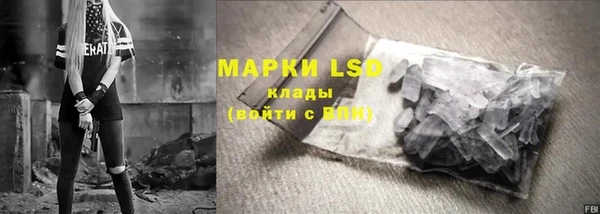 ПСИЛОЦИБИНОВЫЕ ГРИБЫ Белоозёрский