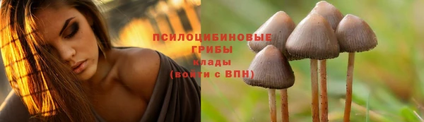 ПСИЛОЦИБИНОВЫЕ ГРИБЫ Белоозёрский