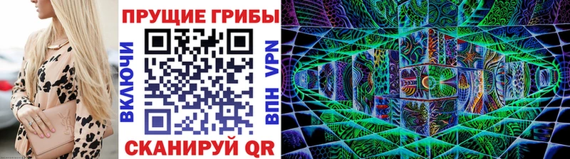 как найти   Сердобск  Галлюциногенные грибы MAGIC MUSHROOMS 
