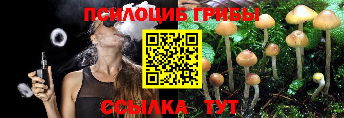 Галлюциногенные грибы Psilocybine cubensis Сердобск