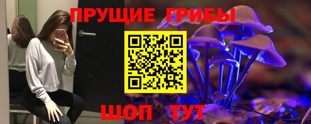 Сердобск  Псилоцибиновые грибы GOLDEN TEACHER  Вход с VPN 